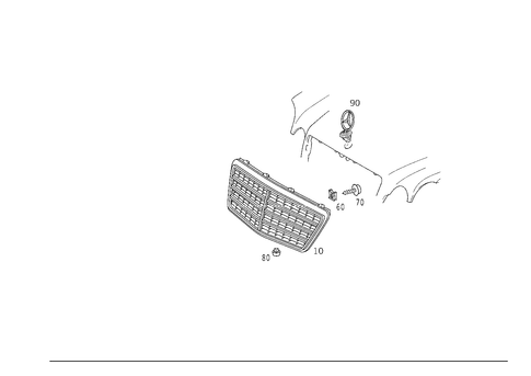 Radiator Grill for 1998 Mercedes-Benz E430 #1