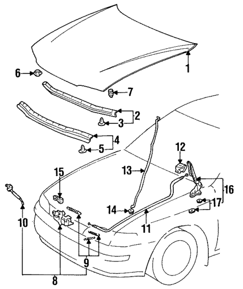Hood & Components for 1997 Toyota Corolla #0