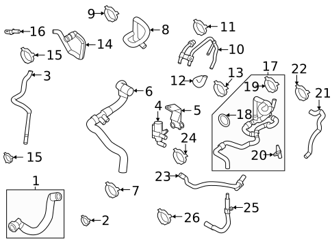 Hoses & Lines for 2022 Porsche Cayenne #2