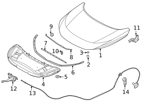 Hood & Components for 2022 Nissan Rogue #0