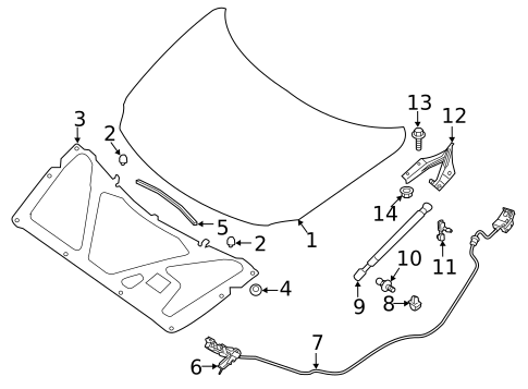 Hood & Components for 2021 Nissan Maxima #0