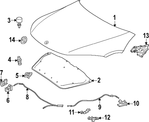 Exterior Trim - Hood for 2025 Mercedes-Benz EQS AMG #0