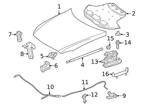 Hood & Components for 2016 Mercedes-Benz GLE 450 AMG® #1
