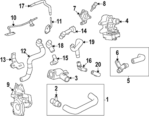 Hoses & Lines for 2024 Toyota Tacoma #2