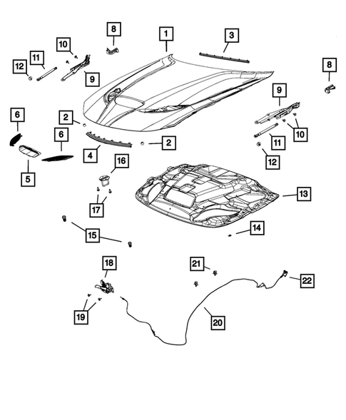 Hood and Hood Release for 2019 Dodge Charger #0