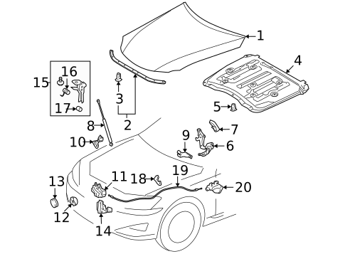 Hood & Components for 2009 Lexus IS250 #0