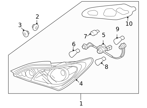 Bulbs - Chassis for 2010 Hyundai Genesis Coupe #1