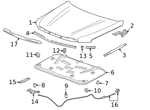 Hood & Components for 2021 GMC Yukon XL #0