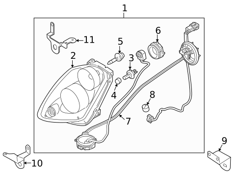 Bulbs - Chassis for 2005 INFINITI G35 #0