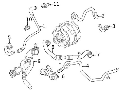 Hoses & Lines for 2025 Audi S7 Sportback #3