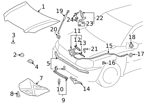 Hood & Components for 2007 Toyota Highlander #0