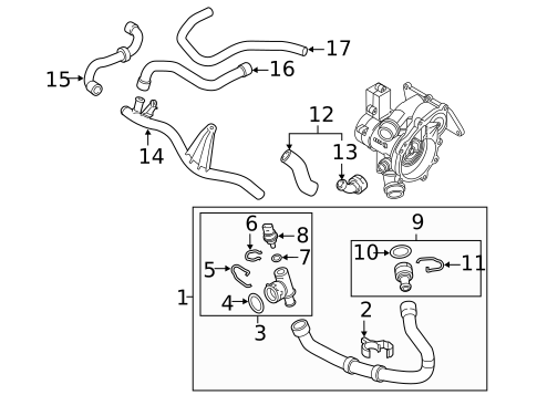 Hoses & Lines for 2025 Audi Q3 #0