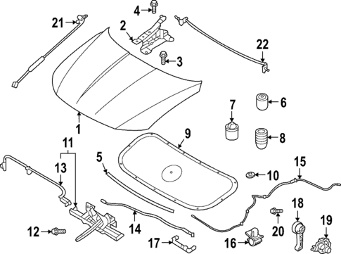 Hood & Components for 2022 Hyundai Tucson #0