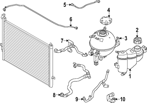 Hoses & Pipes for 2025 BMW 530i #1