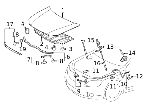 Hood & Components for 2011 Toyota Avalon #0