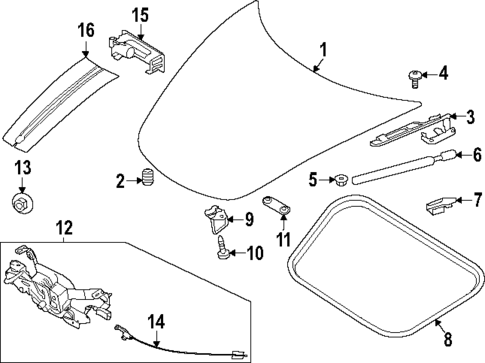 Hood & Components for 2021 Porsche 911 #0