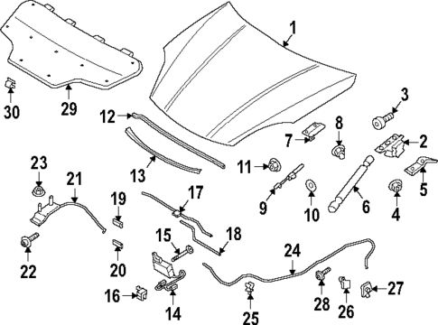 Hood & Components for 2019 Porsche Cayenne #1