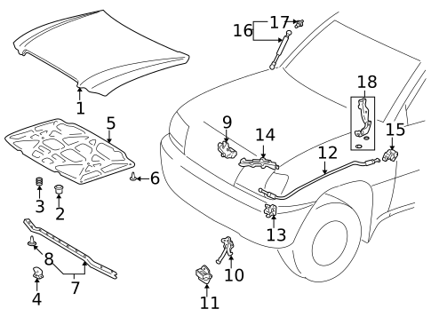 Hood & Components for 2006 Lexus LX470 #0