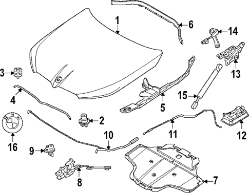 Hood & Components for 2025 BMW X3 #0