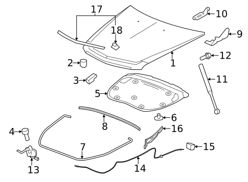 Hood & Components for 2011 Cadillac CTS #1