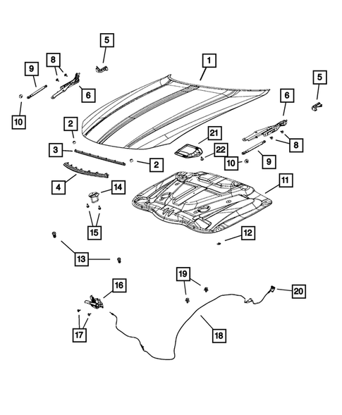Hood and Hood Release for 2023 Dodge Charger #1