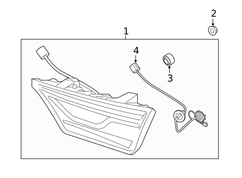 Backup Lamps for 2019 Kia Forte #1
