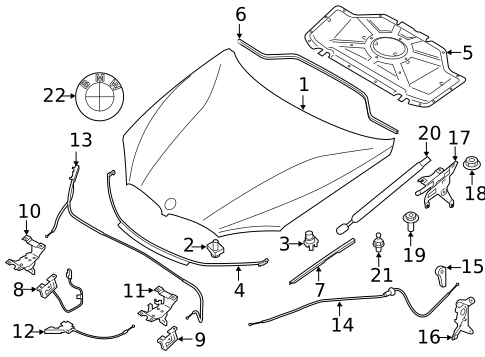 Hood & Components for 2018 BMW X6 #0
