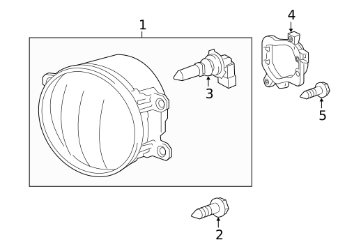 Bulbs - Chassis for 2011 Lexus IS350 #2