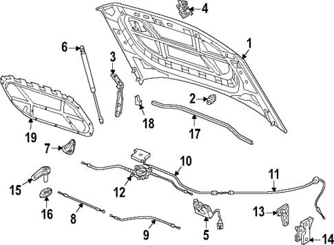 Hood & Components for 2025 Volkswagen Atlas Cross Sport #0