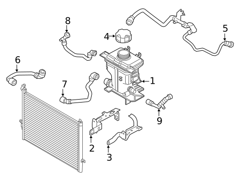 Hoses & Pipes for 2023 BMW M550i xDrive #1