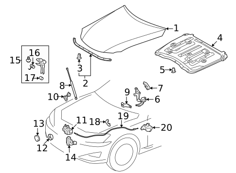Hood & Components for 2010 Lexus IS250 #1