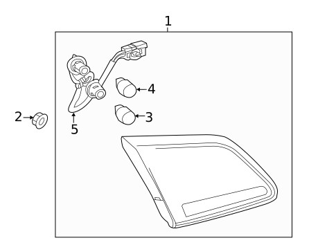 Bulbs - Chassis for 2014 Chevrolet SS #1