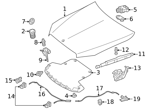 Hood & Components for 2021 Mercedes-Benz C63 AMG S #0