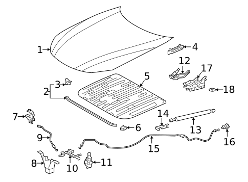 Hood & Components for 2025 Lexus LS500h #0