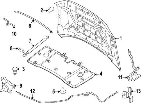 Hood & Components for 2025 Lincoln Navigator #0