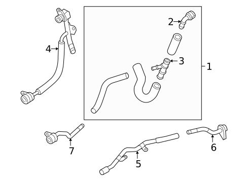 Hoses & Lines for 2019 Volkswagen Tiguan #2
