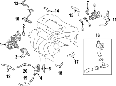 Hoses & Pipes for 2025 Toyota Grand Highlander #0