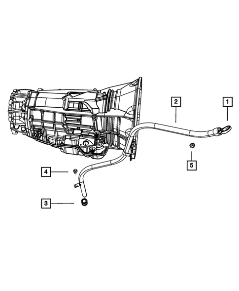 Case, Extension, Oil Pan, and Indicator (Dipstick) for 2011 Ram 3500 #3