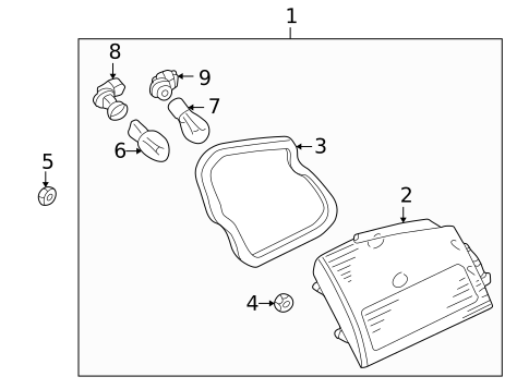 Bulbs - Chassis for 2004 INFINITI I35 #5