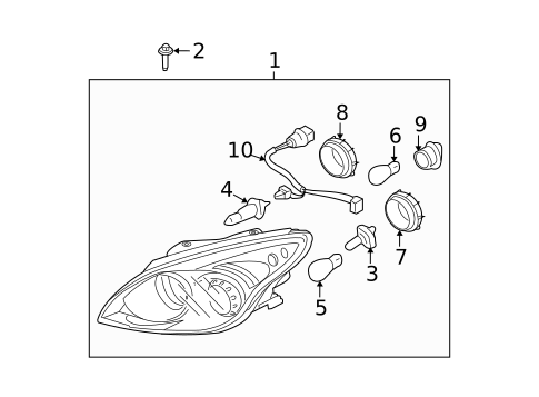 Bulbs - Chassis for 2012 Hyundai Elantra #0