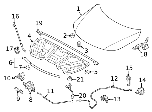 Hood & Components for 2012 Kia Sorento #0