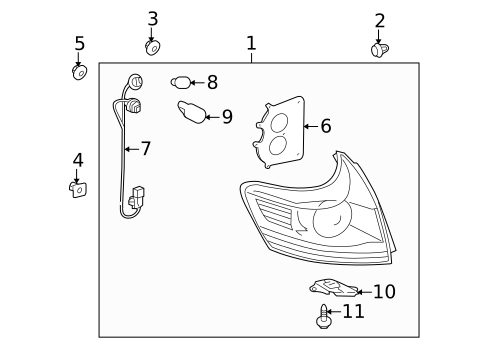 Bulbs - Chassis for 2013 Toyota Venza #2