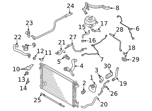Hoses & Lines for 2025 Audi S7 Sportback #10