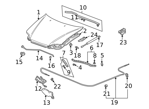 Hood & Components for 1999 Honda Accord #1