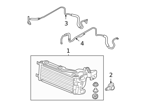 Trans Oil Cooler for 2009 BMW M3 #1