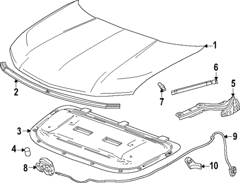 Hood & Components for 2025 Chevrolet Equinox EV #0
