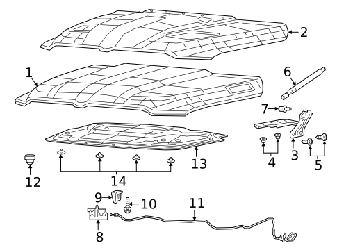 Hood & Components for 2024 Ram 1500 #0