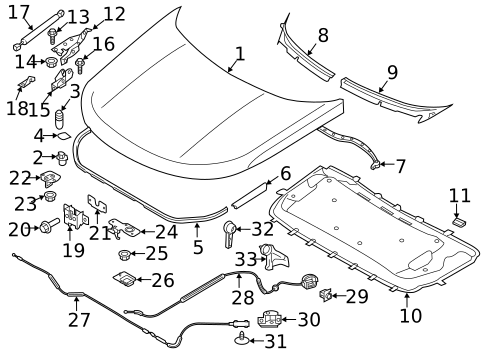 Hood & Components for 2012 Land Rover Range Rover Evoque #8