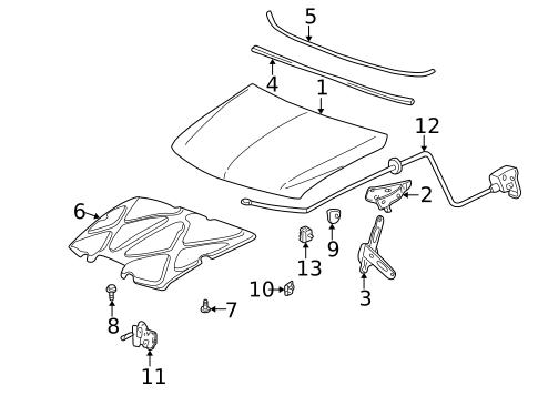 Hood & Components for 2007 GMC Sierra 1500 Classic #1