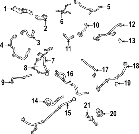 Hoses & Lines for 2022 Land Rover Range Rover #0